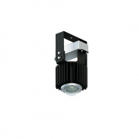 Светильник ДСП04-40-101 Fito Star LED 40Вт IP65 Ардатов 1208004101