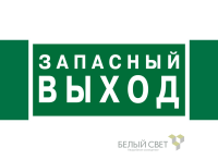 Знак безопасности NPU-3413.E43"Аварийный выход" Белый свет a24892