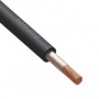 1461151.jpg