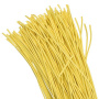 tut-2-y-1m_2.jpeg.jpg