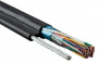 45777_1.jpeg.jpg