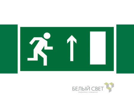 Знак безопасности NPU-3413.E11 "Напр. к эвакуационному выходу прямо (право.)" Белый свет a16522