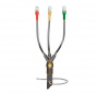 498901.jpg