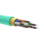 RNMBIN50316LSAQ_1.png