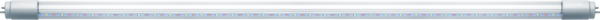 61392_1.png