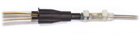 1555507_2.jpg
