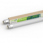 1687183.jpg