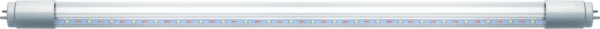 61391_1.png