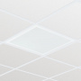 544222.jpg
