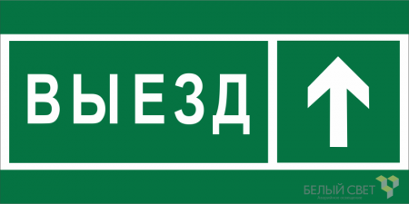 Знак безопасности BL-3015.N06 "Направление к воротам выезда прямо" Белый свет a19583