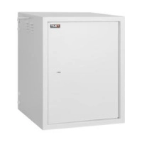 Шкаф антивандальный 19дюйм 15U 600х767х650мм настенный сер. TLK TWS-156065-M-GY
