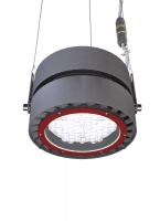 Светильник светодиодный L-industry II PRO 170/Г60/5.0K/04/I11-31/220AC IP65 LEDEL INP170-3614-17