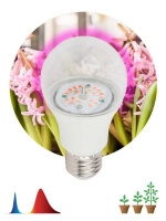 Лампа светодиодная FITO-10W-RB-E27-K 10Вт A60 грушевидная E27 220-240В для растений красн./син. спектр Эра Б0039069