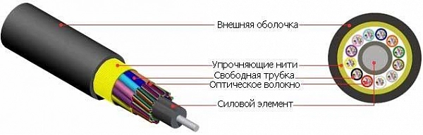 53485_1.jpeg.jpg