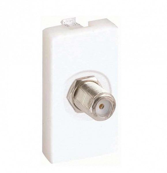 394159.jpg
