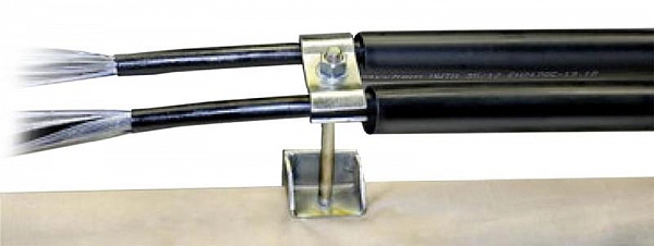 1555504_3.jpg