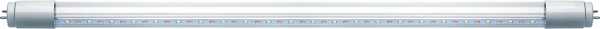 61391_1.png