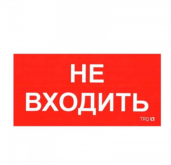 323077.jpg
